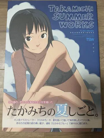 TAKAMICHI summer works / 타카미치 / 화집