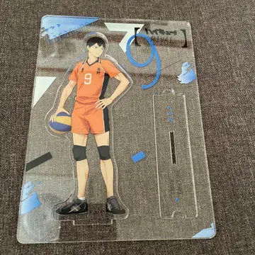 하이큐 아크릴 스탠드 카게야마 토비오 VS 라이벌