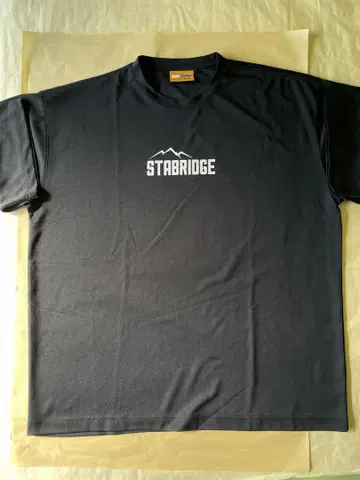 [ L ] STABRIDGE Quick Dry Tee 스타브릿지 셔츠