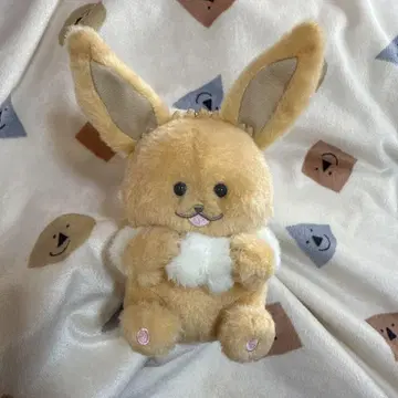 리포트 써줘 이브이