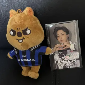 straykids SKZOO 한쿼카 트레이딩 카드 포함