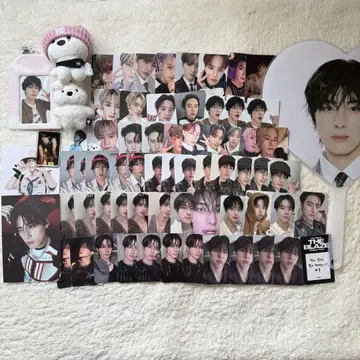 theboyz 에릭 봉제 인형 트레이딩 카드 부채