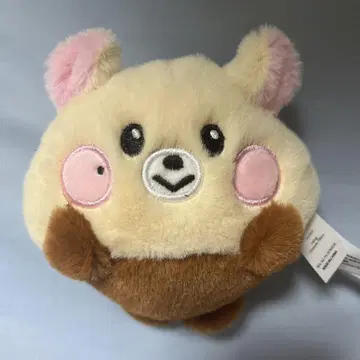 NCT DREAM LINE FRIENDS 지성 밤찌 봉제 인형
