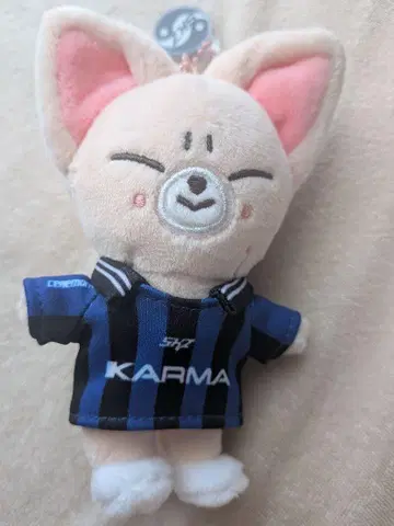 [ 익명 배송 ] 스키즈 폭시니 KARMA skzoo 버전 봉입
