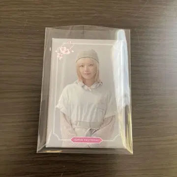 사쿠라자카 카페 후지요시 카린 마그넷