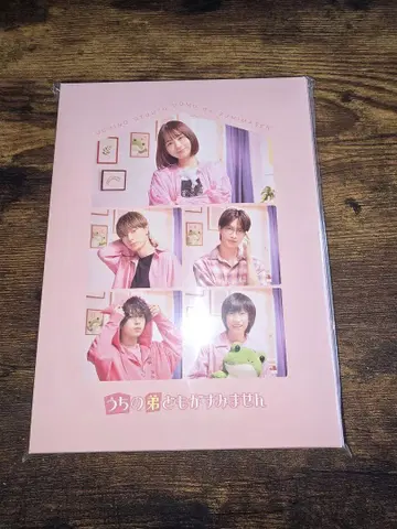 우리 남동생들이 미안해 영화 DVD