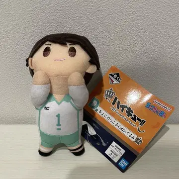 하이큐!! 제일복권 D상 오이카와