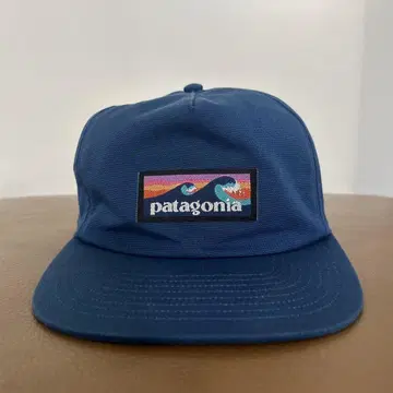 Patagonia 파도 택 레어 블루 캡