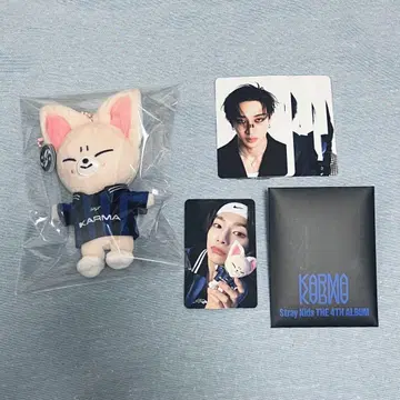 Stray Kids 스키즈 KARMA SKZOO 아이엔 폭시니