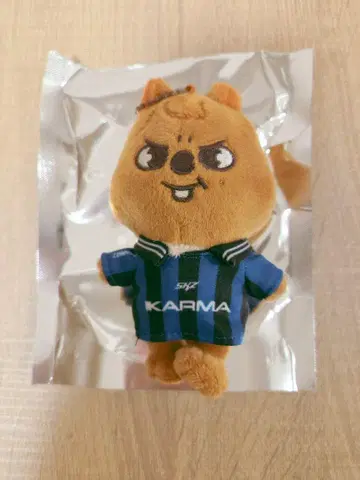 straykids 스키즈 KARMA skzoo ver 한쿼카2
