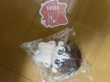 enhypen 선우 봉제 인형