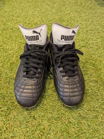 PUMA 파라메히코 ( 단종 모델 )