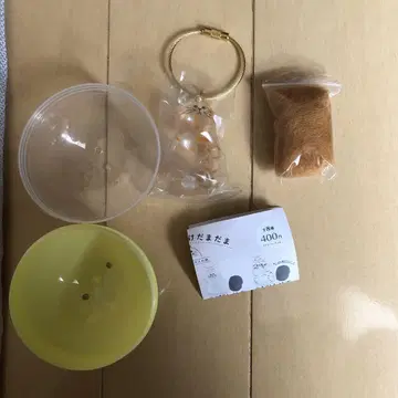 우리 아이 털뭉치 가챠 반려동물 털 보관함 브라운 태비만