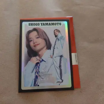 THERAMPAGE 야마모토 쇼고 포토 카드 시크릿