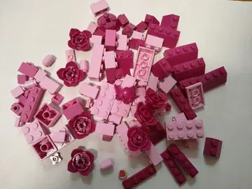 LEGO 핑크 부품 세트