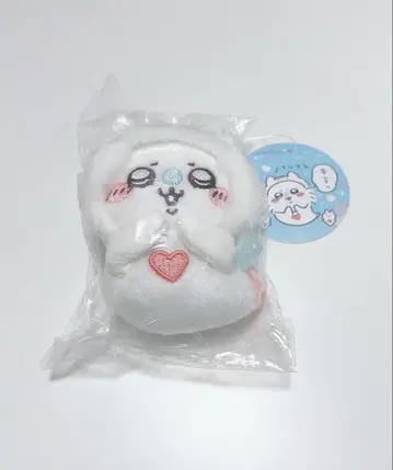 치이카와 수족관 클리오네 모몽가 마스코트