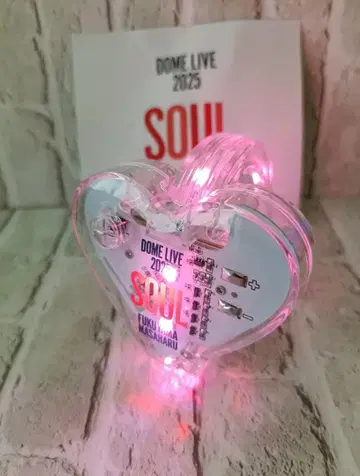 후쿠야마 마사히로 DOME LIVE 2025 SOUL 싱크로 라이트 뱅글