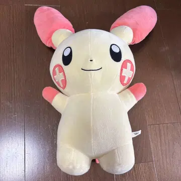 포켓몬 봉제 인형
