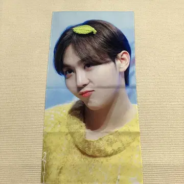 SEVENTEEN 세부치 승관 슬로건