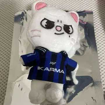 Stray Kids KARMA SKZOO반 지니레트