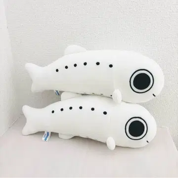 신 에노시마 수족관 실러캔스 봉제 인형 2마리