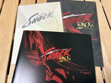 Endless SHOCK 팜플렛
