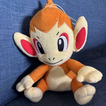 포켓몬 봉제 인형