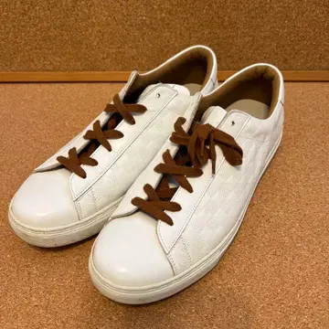 아쿠아 스큐텀 화이트 스니커즈