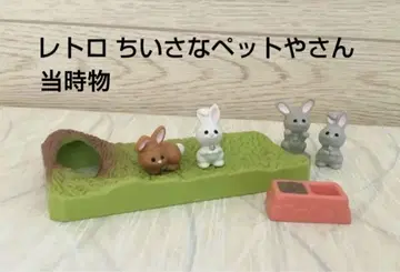 작은 반려동물 가게 토끼
