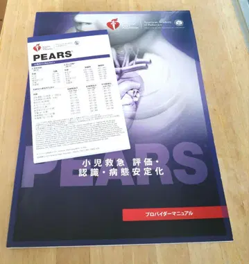 PEARS 프로바이더 매뉴얼 텍스트 2015 준거
