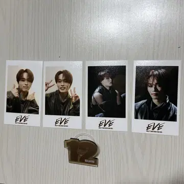 초특급 마사히로 FC 한정판 미니 사진 EVE