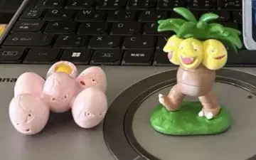몬코레 타마타마 나시스 세트