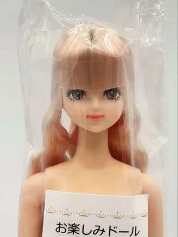사야카 오타노시미 인형 클리어 핑크 계열 리카짱 캐슬 제니 프렌드
