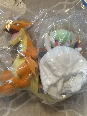 포켓몬 1번 복권 메가진화 리자몽 서나이트