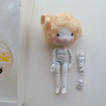 미니 양 003