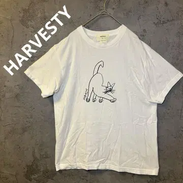 HARVESTY 하베스티 남성용 반팔 화이트 T셔츠 2 (M 상당)