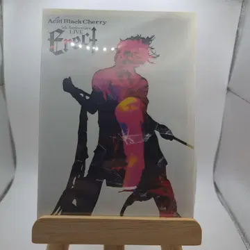 Acid Black Cherry 5th Anniversary Erect