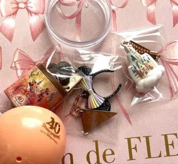 TDL 40주년 디즈니랜드 한정판 가챠 디즈니