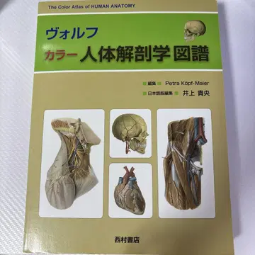 볼프 컬러 인체 해부학 도보