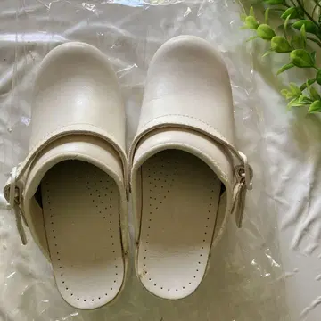 화이트 단스코 잉그 35