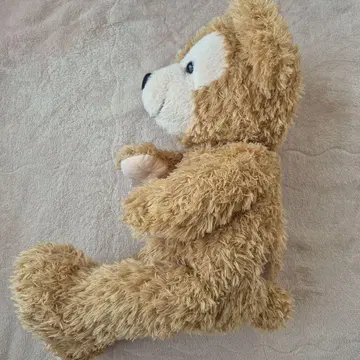 10년 이상 된 더피