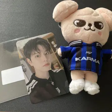straykids 승민 skzoo 봉입