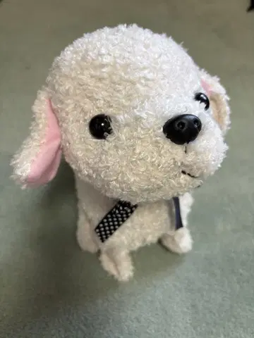 코코가 거꾸로 서서