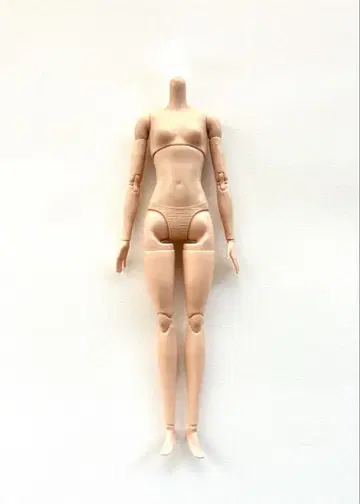 바비 Barbie MTM 바디 마텔 Mattel