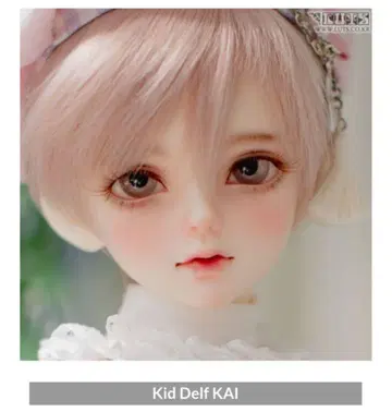 LUTS Kid Delf KAI