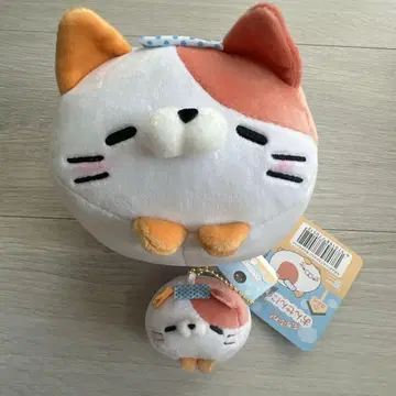 초레어 온천냥 코로코로냥코 키링 세트 참 지역 한정