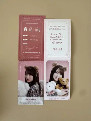 NOGI 46 카키 하루카 B상 스티커 NOGI메쿠리 노기메쿠리 곰 3개
