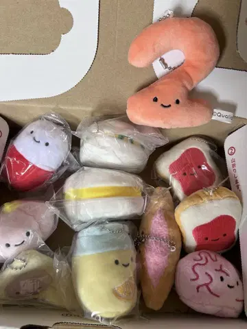 닛코리노 묶음 판매 11점