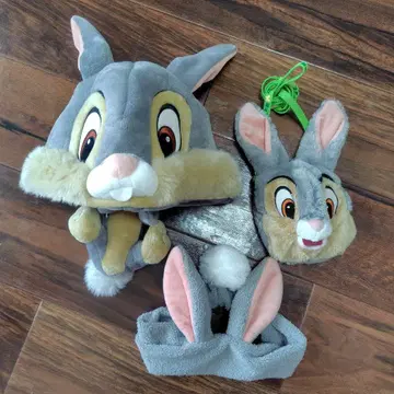 톰과 제리 삼퍼 팬 헤어밴드 패스 케이스 디즈니랜드