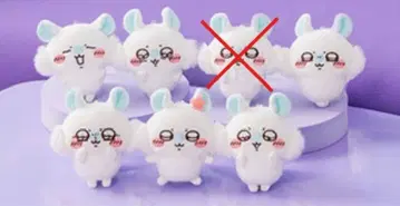 모몽가 가득 복권 6개 세트